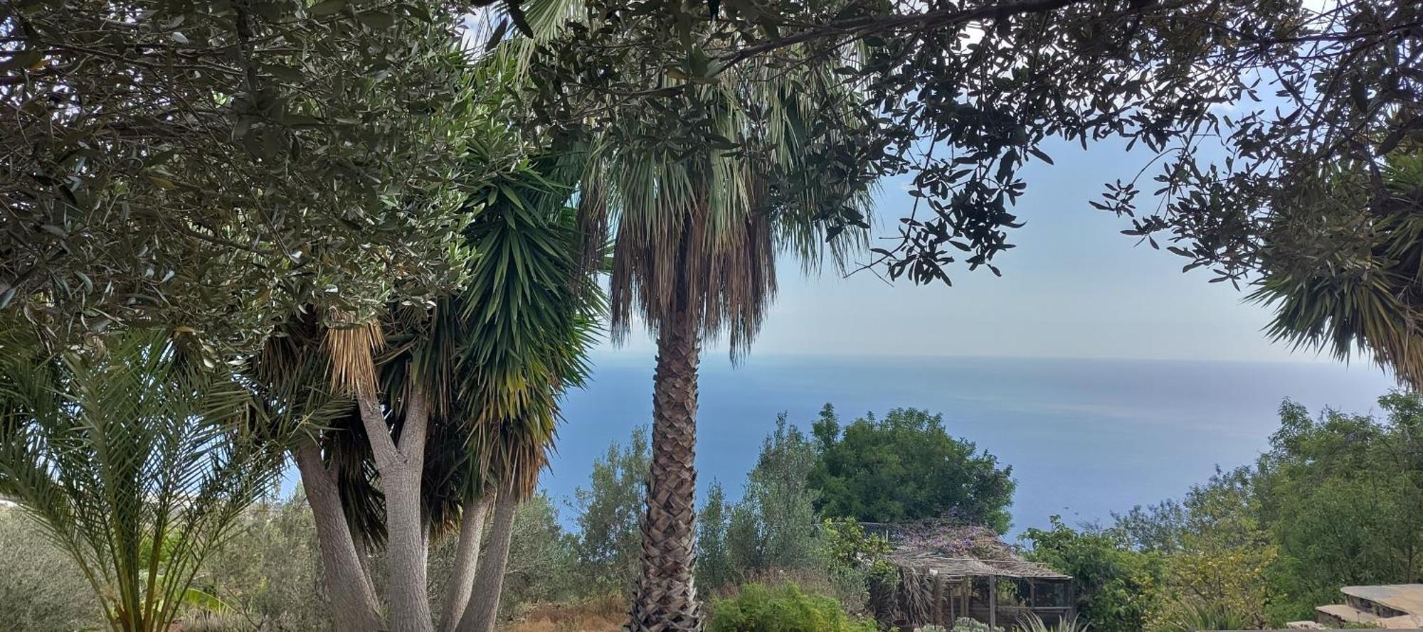 Finca Panorama Тихарафе Екстериор снимка