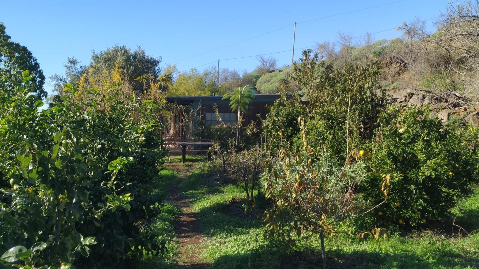 Finca Panorama Тихарафе Екстериор снимка